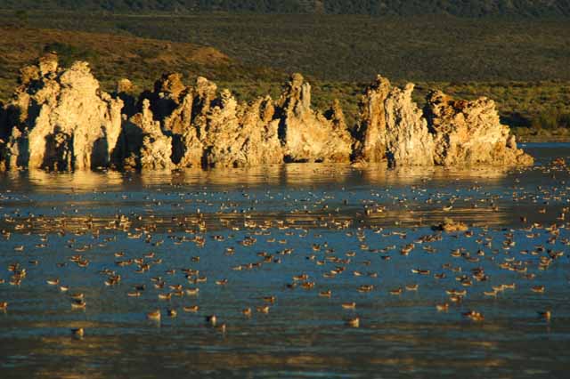 Mono Lake